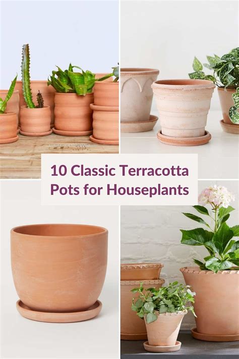 Classic Terracotta Pots For Houseplants You Ll Love