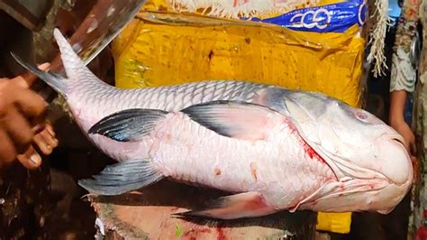 Amazing Giant Katla Carp Fish Cutting Chopping In Dhaka Fish Market