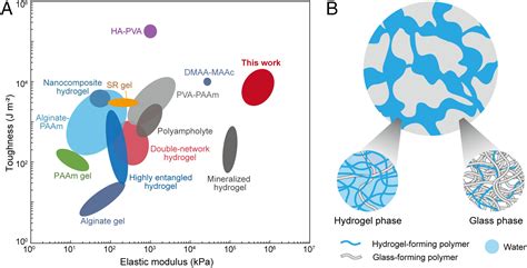 Self Assembled Nanocomposites Of High Water Content And Load Bearing