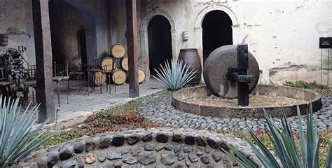 Tequila Jalisco Qué hacer y cómo llegar a este Pueblo Mágico