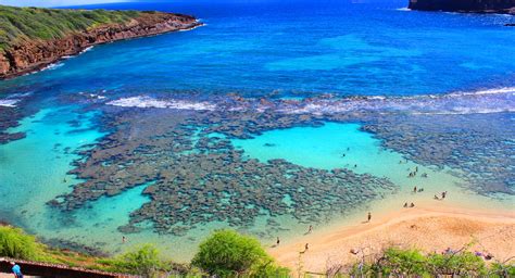 Hanauma Bay Nature Preserve Snorkel Adventures On Oahu