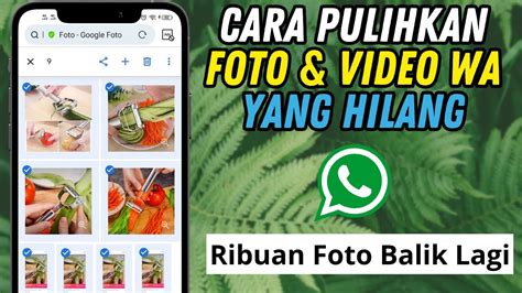 Cara Memulihkan Foto Dan Video Whatsapp Yang Hilang Terhapus Youtube