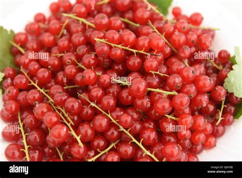 Edible Red Berries Berry Stock Photo - Alamy