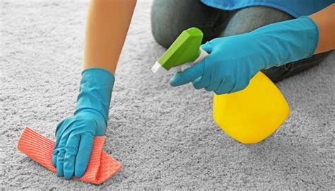 Top 6 Best Flea Carpet Spray & Powders in 2017