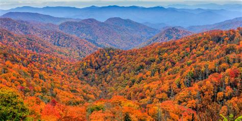 Peak Fall Colors: Where to Travel to See the Fall Leaves Change - WSJ