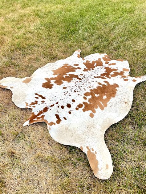 Genuine Tricolor Hair On Cowhide Rug Speckled Brazilian Cow Etsy