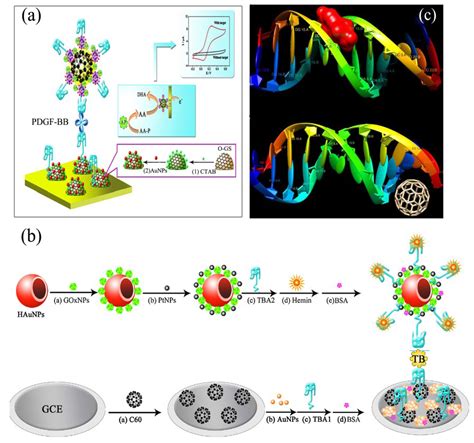 Biosensors Free Full Text Recent Advances In Electrochemical Biosensors Based On Fullerene