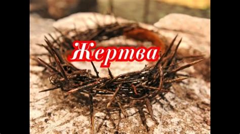 Жертва - YouTube