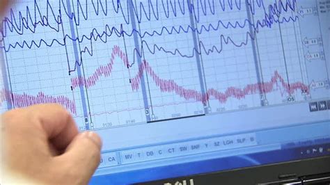 Spot Shady Polygraph Examiners Before Its Too Late 2024