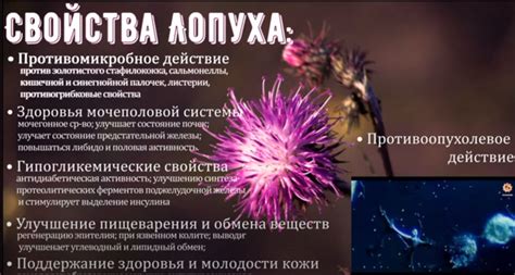 Фульво гуминовый комплекс Черный мед с лопухом Живая земля - cherniy ...