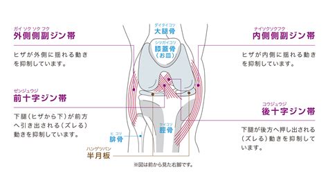 ランナー膝腸脛靱帯炎編痛みのある足を支えるインソール ザムスト公式オンラインショップスポーツ用サポーターインソールソックスなど