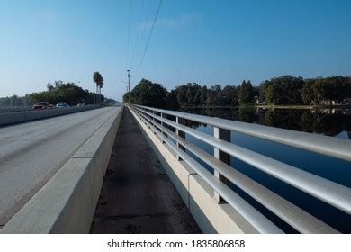 41 Temple Terrace Florida Images, Stock Photos & Vectors | Shutterstock