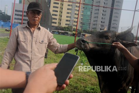 Antisipasi PMK Sudin KPKP Jakarta Lakukan Pemeriksaan Hewan Qurban