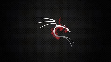 Latest Kali Linux Hd Wallpaper Full Hd P For Pc Desktop