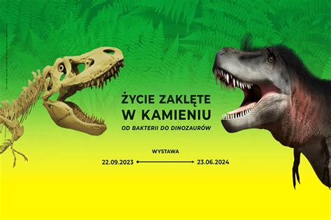 Życie zaklęte w kamieniu Od bakterii do dinozaurów wystawa Made in