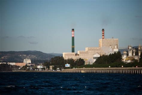 Ecobolsa Ence Lucha Por No Perder La Media De Sesiones