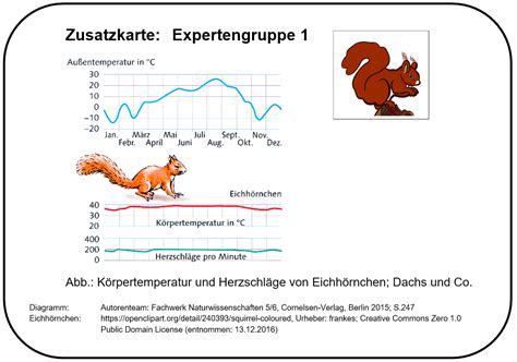 Zusatzkarten