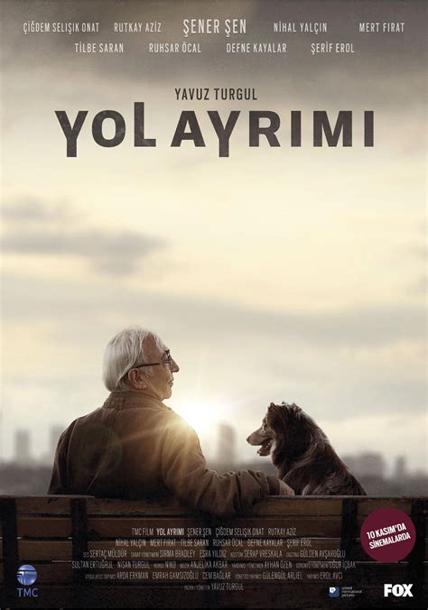 Yol Ayrimi