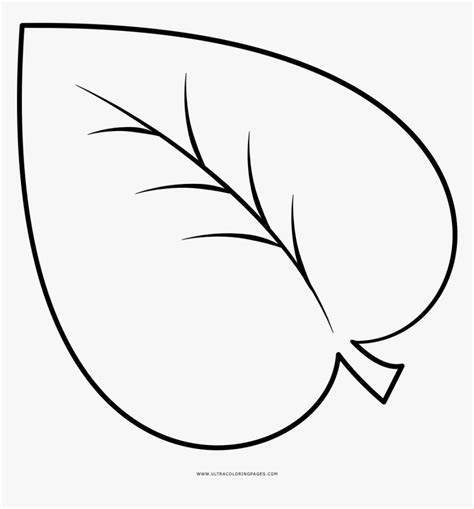 Leaf Coloring Page Hojas De Arbol Para Colorear Hd Png Download