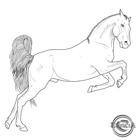 Free Horse Lineart Xviii By Eduscia On Deviantart