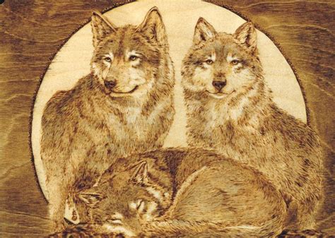 Images About Pyrography Wildlife On Pinterest Wolves Wood