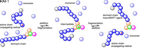 Fundamentals Of Reversible Additionfragmentation Chain Transfer RAFT