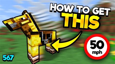 How To Breed Minecrafts Fastest Horse In New Update Youtube