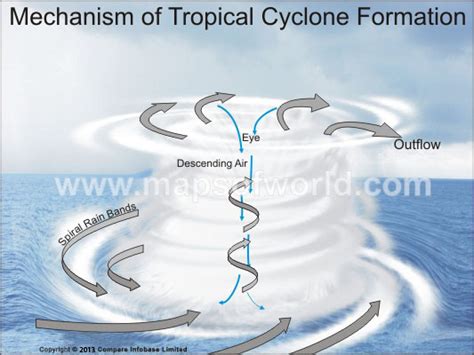 tropical cyclone formation mechanism