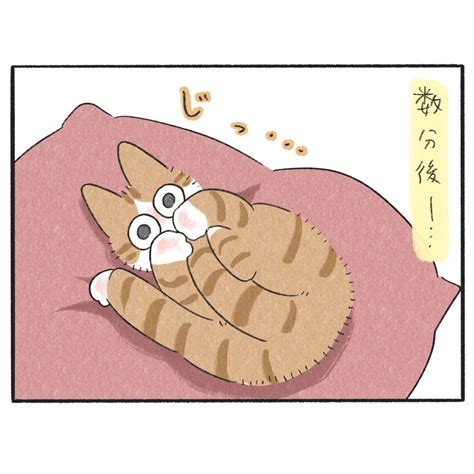 あかにゃんの発見。 │ もふもふびより