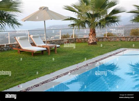 Ready For Summer Sunbeds By The Pool Sunbeds Umbrella And Palm