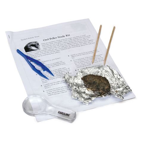 Owl Pellet Dissection Mini Kit