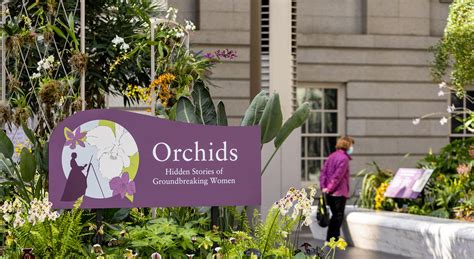 Smithsonian Orchid Show 2024 Lineup Dates Sheri Dorolice