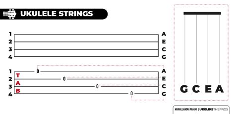 Am7 Ukulele Chord