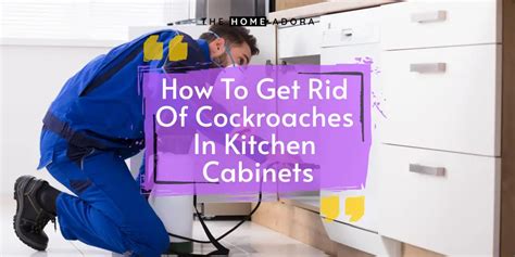 How To Get Rid Of Cockroaches In Kitchen Cabinets Handa