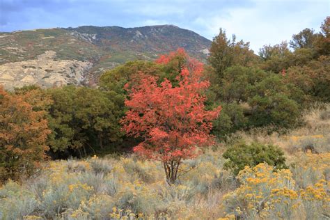 Hiking Trails In Draper Utah Old Favorites And New Additions