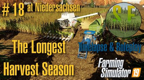 Corn Harvesting ⭐ Niedersachsen 18 ⭐ Fs19 Timelapse And Roleplay Youtube