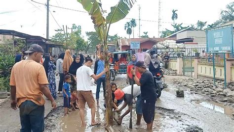 Tak Kunjung Diperbaiki Warga Brandan Demo Dijalan Sambil Tanam Pohon