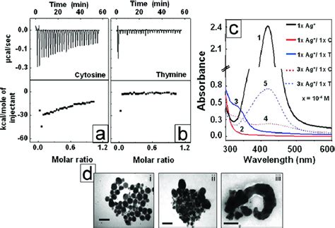 (a) and (b) show ITC measurements recorded by titrating the nucleobases ...