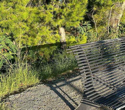 Single Bench Bench Sits In The Sun Lonely Bench In Summer Stock Image