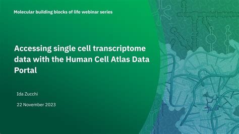 Accessing Single Cell Transcriptome Data With The Human Cell Atlas Data