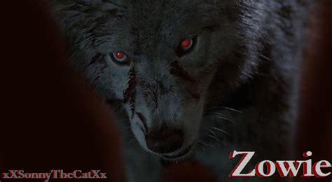 Zowie ID by xXSonnyTheCatXx on DeviantArt