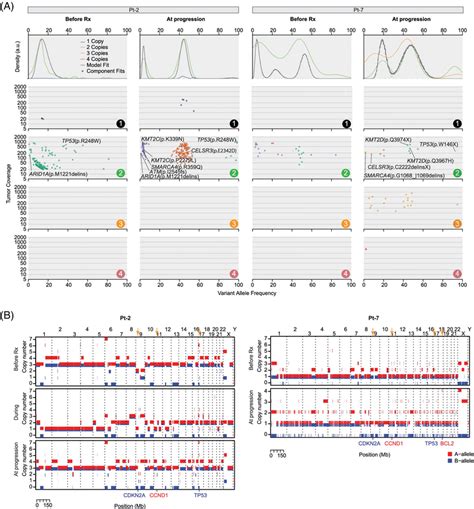 Pattern Of Clonal And Subclonal Evolution In Available Samples From