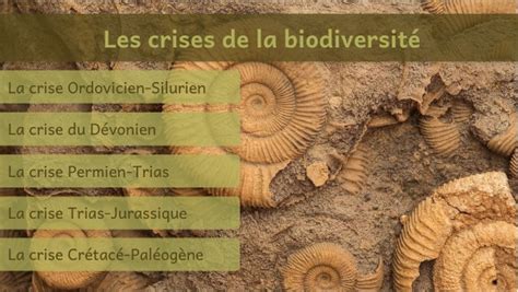 6e Les Crises Biologiques