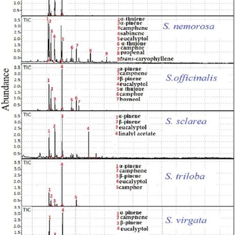 Characteristic Gas Chromatography Mass Spectroscopy Gc Ms Total Ion Download Scientific