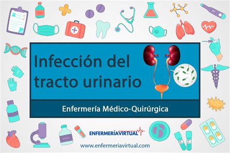 Infecci N Del Tracto Urinario Enfermer A Virtual