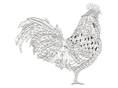 Premium Vector Cock Coloring Book Vector For Adults