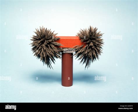 Magnet Iron Filings Hi Res Stock Photography And Images Alamy