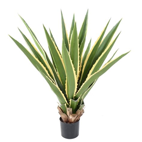 Agave Artificielle Furcraea 175 00