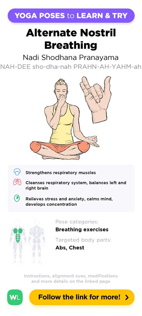 Yoga Poses To Learn And Try For Beginners Info Sheet With Instructions