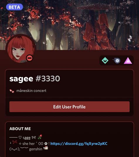 Red Theme Discord User Profile